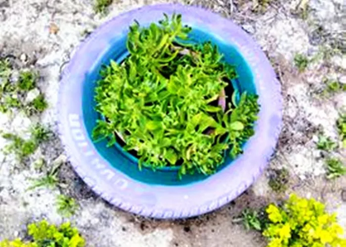 Casa de Férias Nikolas' House *