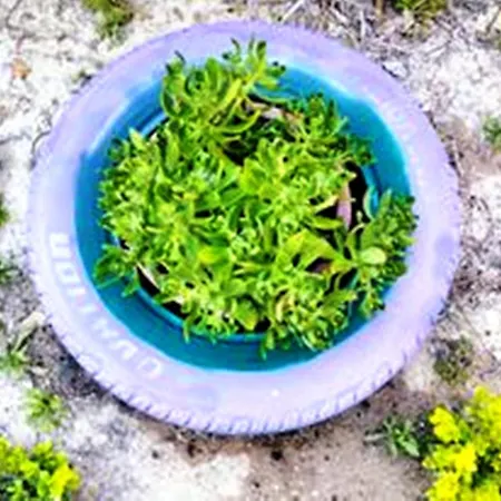 別荘 Nikolas' House *